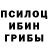 Галлюциногенные грибы GOLDEN TEACHER Brit TheNumber1