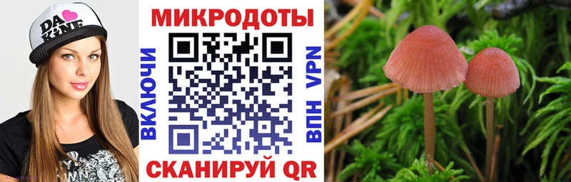 Галлюциногенные грибы прущие грибы  купить наркотик  Губкинский 